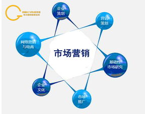 淘宝网电子商务市场营销分析