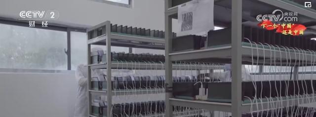 从制造到创新 多项利好叠加 吸引海外"创客