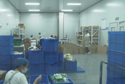 许昌市建安区河街乡: 工厂建在家门口 就业增收有奔头